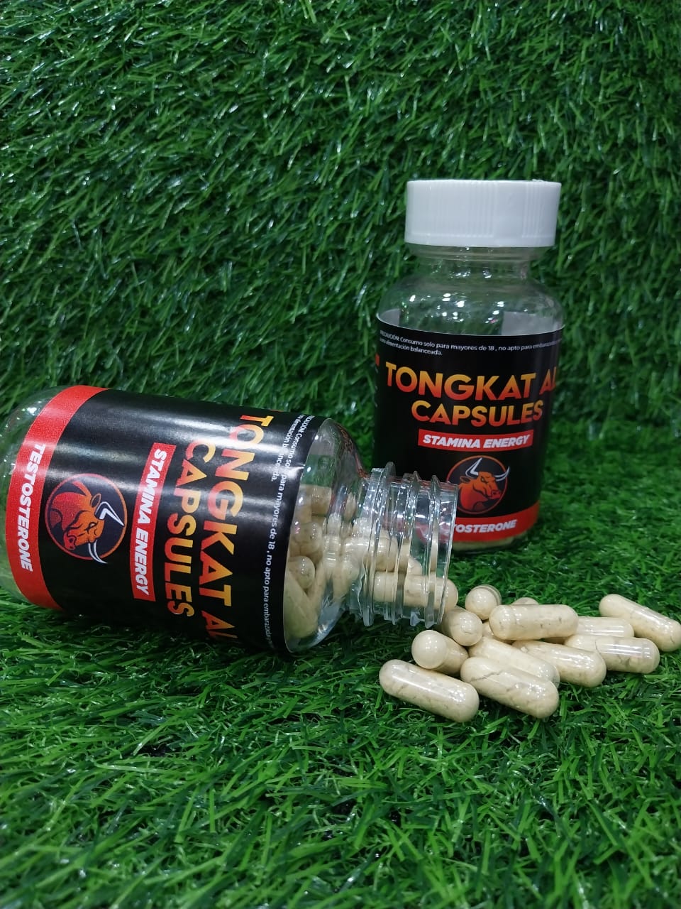 Tongkat Ali Capsules