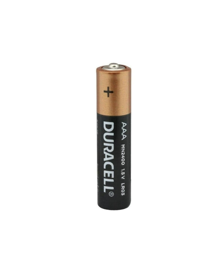 Pilas duracell AAA pack 2